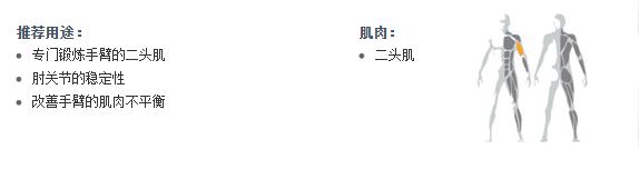 广州草莓直播在线观看免费播放高清健身器材