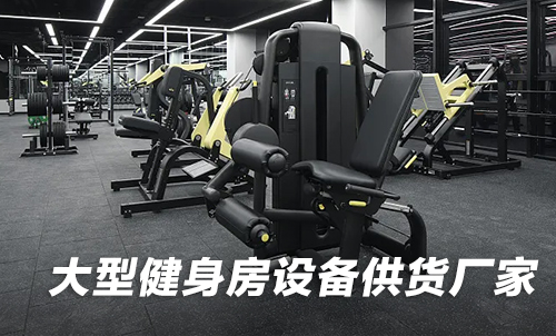 大型健身房设备供货草莓视频色版APP