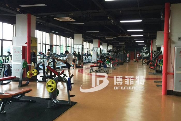 草莓直播在线观看免费播放高清健身器材