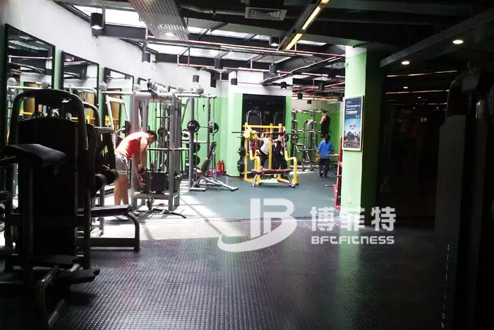 草莓直播在线观看免费播放高清健身器材