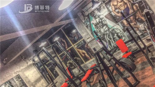 伊拉克客户的健身房图片 草莓直播在线观看免费播放高清健身器材案例