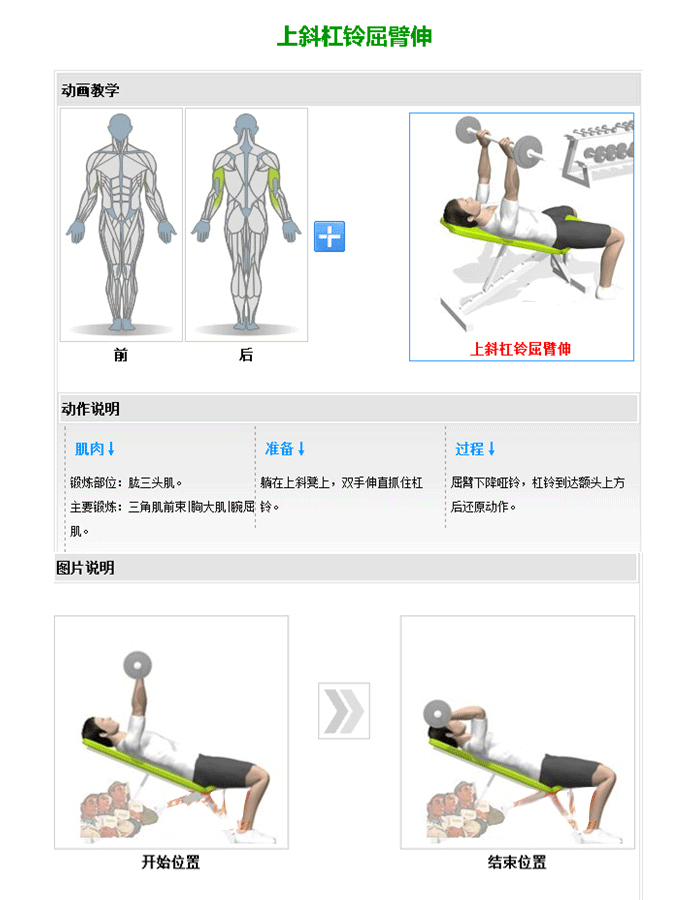 可调哑铃训练椅 推举哑铃训练器 草莓直播在线观看免费播放高清室内健身器材